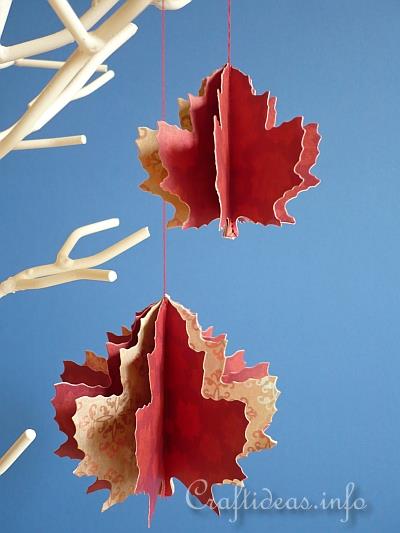3-D Maple Leaves