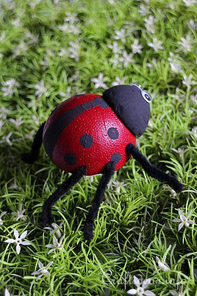 Lady Bug Craft - Backside