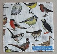 Paper Napkin with Birds
