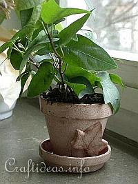 Summer Craft - Beige Antique Flower Pots with Leaf Motif 