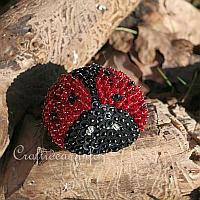 Sequins and Beads Lady Bug