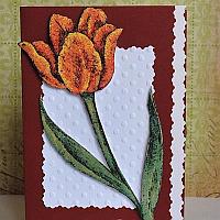 Spring Cards - Card with Tulip Motif