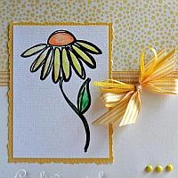 Stamped Daisy Card