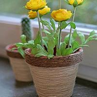 Terracotta Flower Pot Covered With Jute Cord