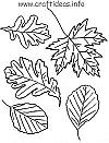 Autumn Leaves Craft Pattern