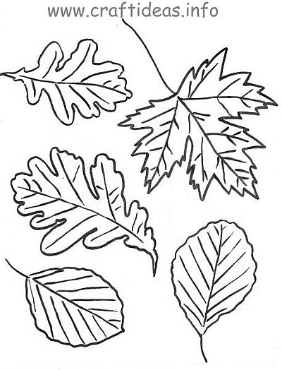 Autumn Leaves Craft Pattern 600