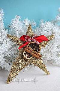 Basic Christmas Craft Ideas - Star Decoration Using Hay 