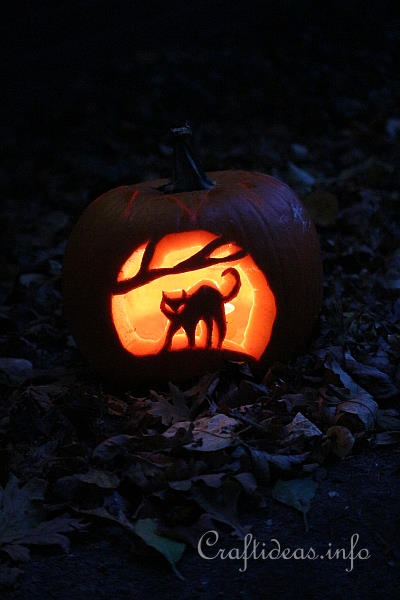 Carved Cat Halloween Pumpkin 2