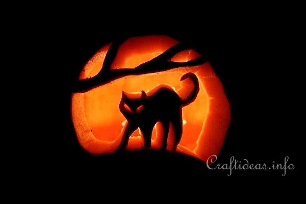 Carved Cat Halloween Pumpkin 3