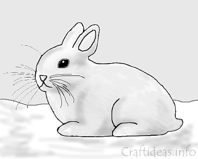 Coloring Book Page - Easter Bunny 