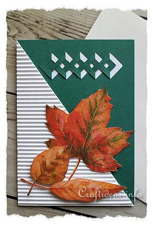 Fall Greeting or Birthday Card - Autumn Leaves 