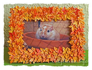 Fall Leaves Picture Frame 