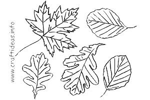 Fall Season - Patterns, Templates and Coloring Pages