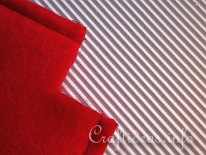 Felt Red Clutch or Cosmetic Purse - Detail e