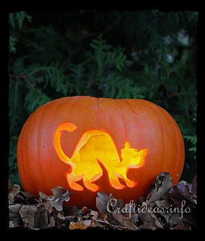 Halloween Cat Jack o' Lantern