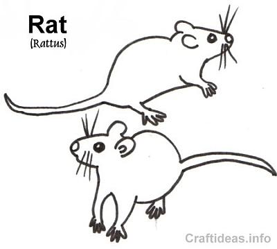Rats Coloring Book Page