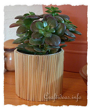 Recylcling Craft - Tin Can Decorated with Natural Straws - Flower Pot 
