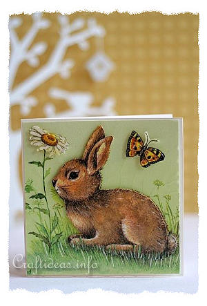 Spring Cards - Card with Daisies and Butterflies 