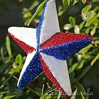 Glittery Independence Day Star