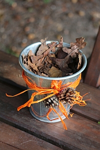 Autumnal Natural Decor Pot