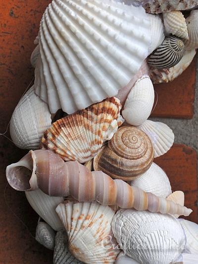 Seashells Wreath Detail