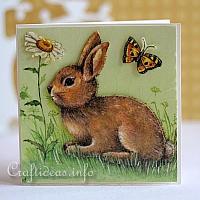 Card with Bunny and Daisies