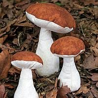 Fabric Mushrooms