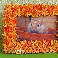 Fall Leaves Picture Frame