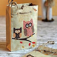 Owl Gift Bags