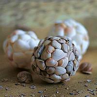 Seashell Balls