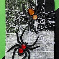 Spiders ATC