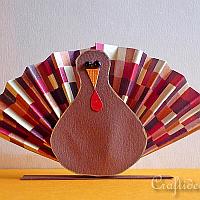 Tom the Thanksgiving Turkey