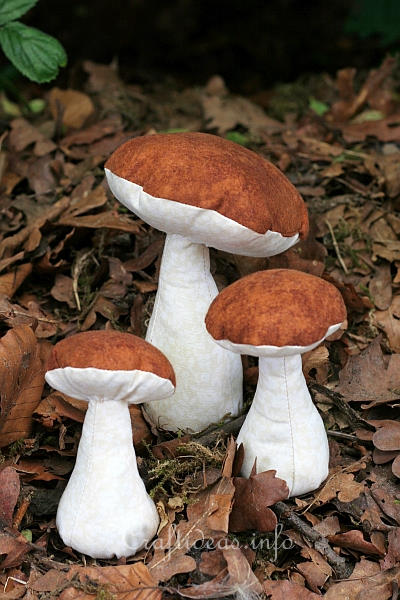 Fabric Mushrooms 1
