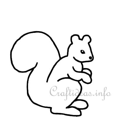 Pattern Squirrel 2
