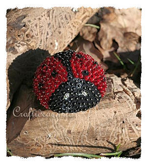 Sequins and Beads Lady Bug 