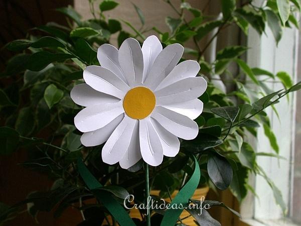 Spring Paper Craft - Flower Bouquet - White Daisy