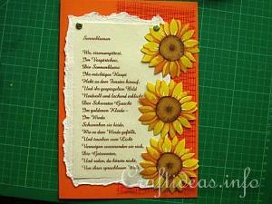 Sunflower Card 13